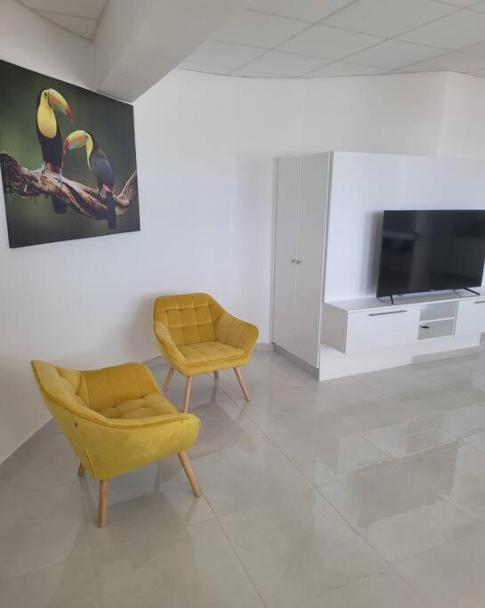 Hello Guyane Daire Cayenne Dış mekan fotoğraf