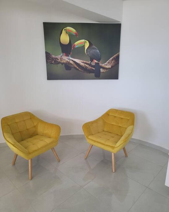 Hello Guyane Daire Cayenne Dış mekan fotoğraf